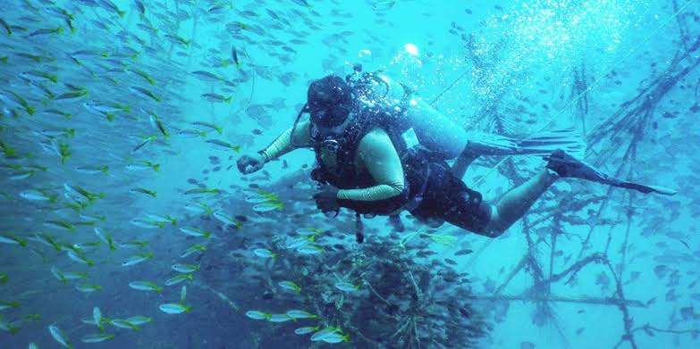 Scuba Diving in Pondicherry